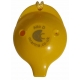 6-hole Oc reverse side showing thumb-holes