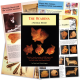 The Ocarina - A Pictoral History