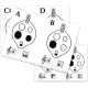 Ocarina Explorer Star Buy Ocarina Flashcards
