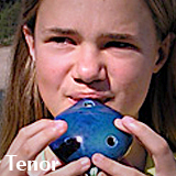 Tenor Ocarina
