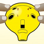 Playing by numbers